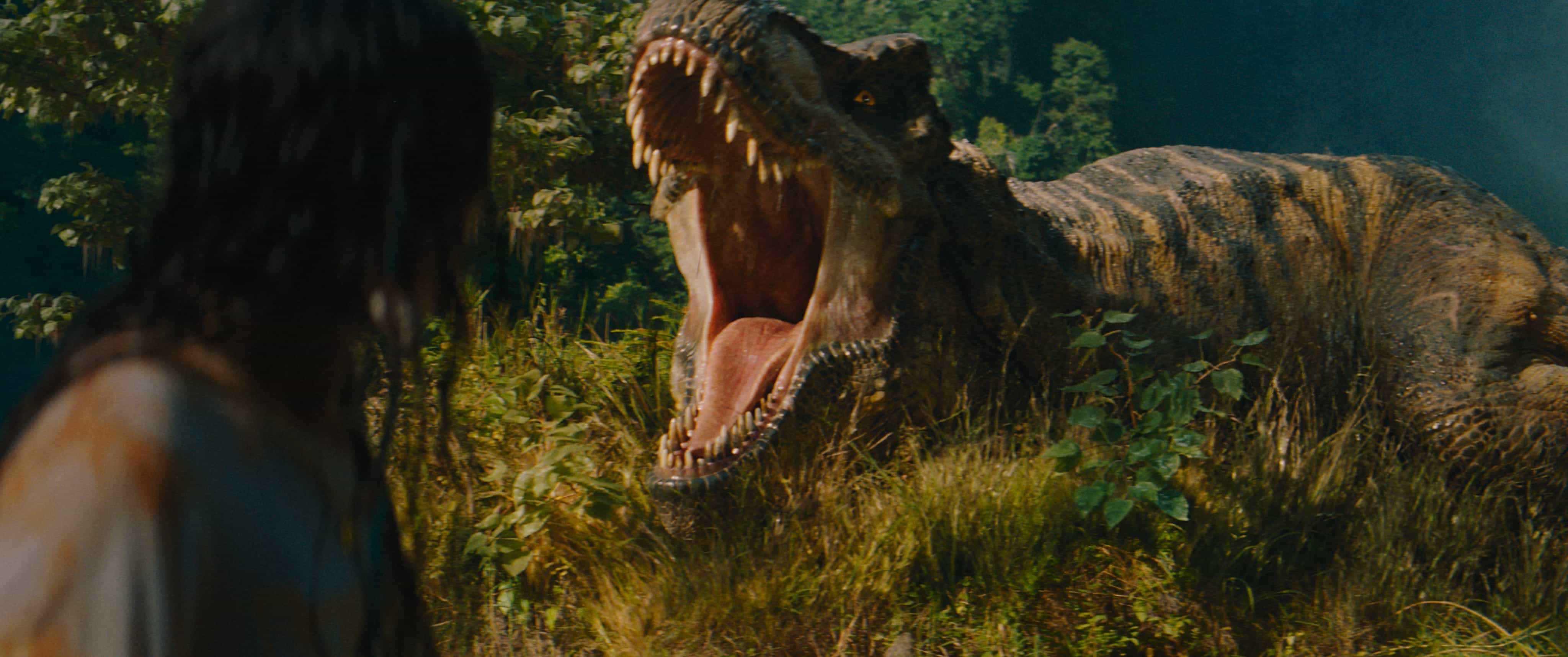 Dinasour