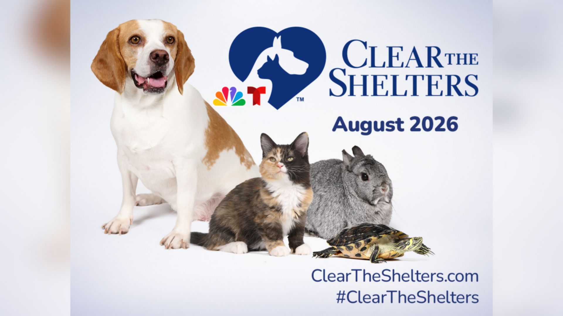 Clear the Shelters