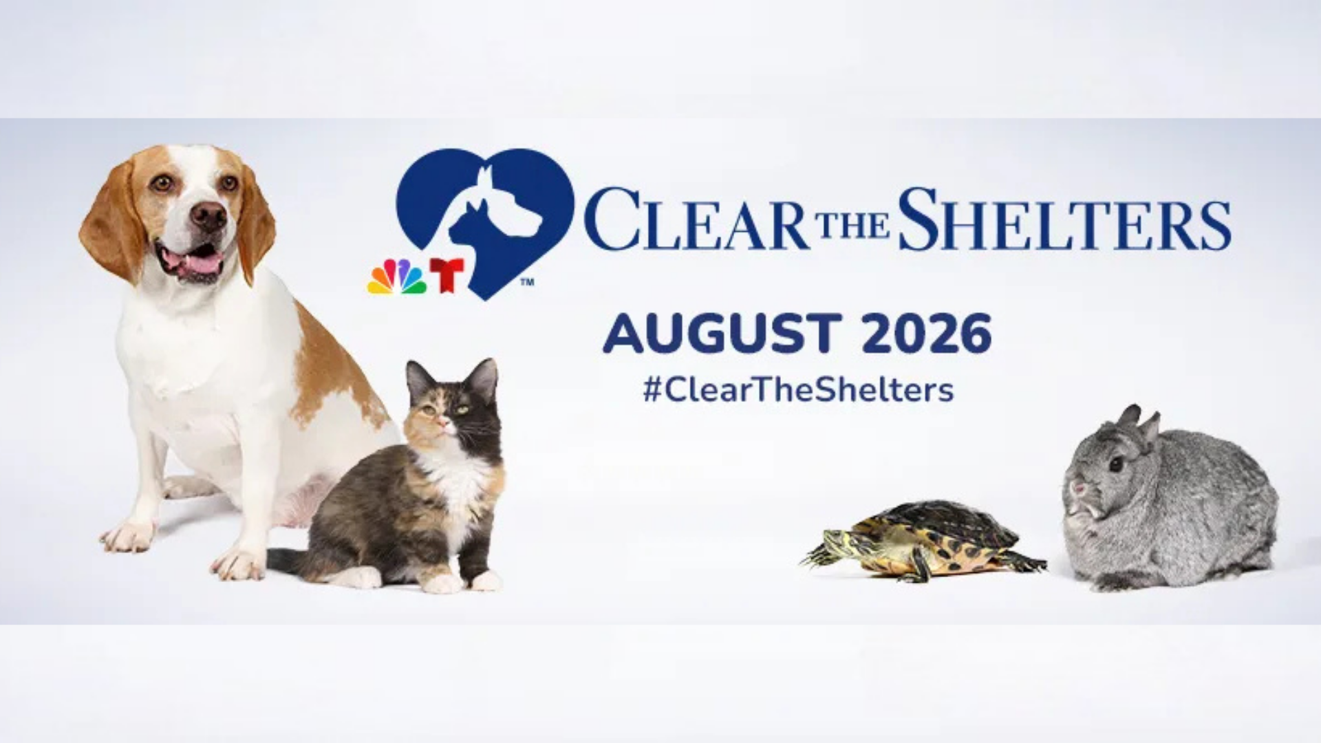 Clear the Shelters