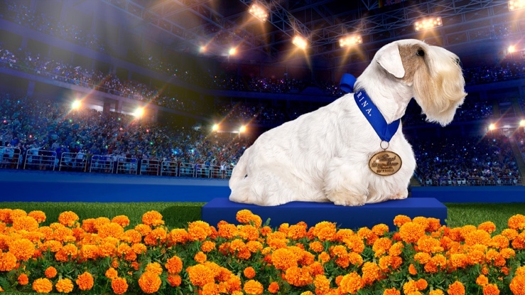 The National Dog Show Presented by Purina - NBC.com