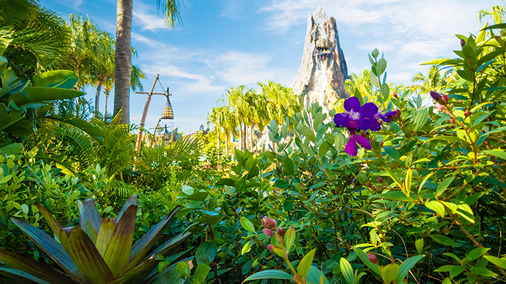 volcano bay