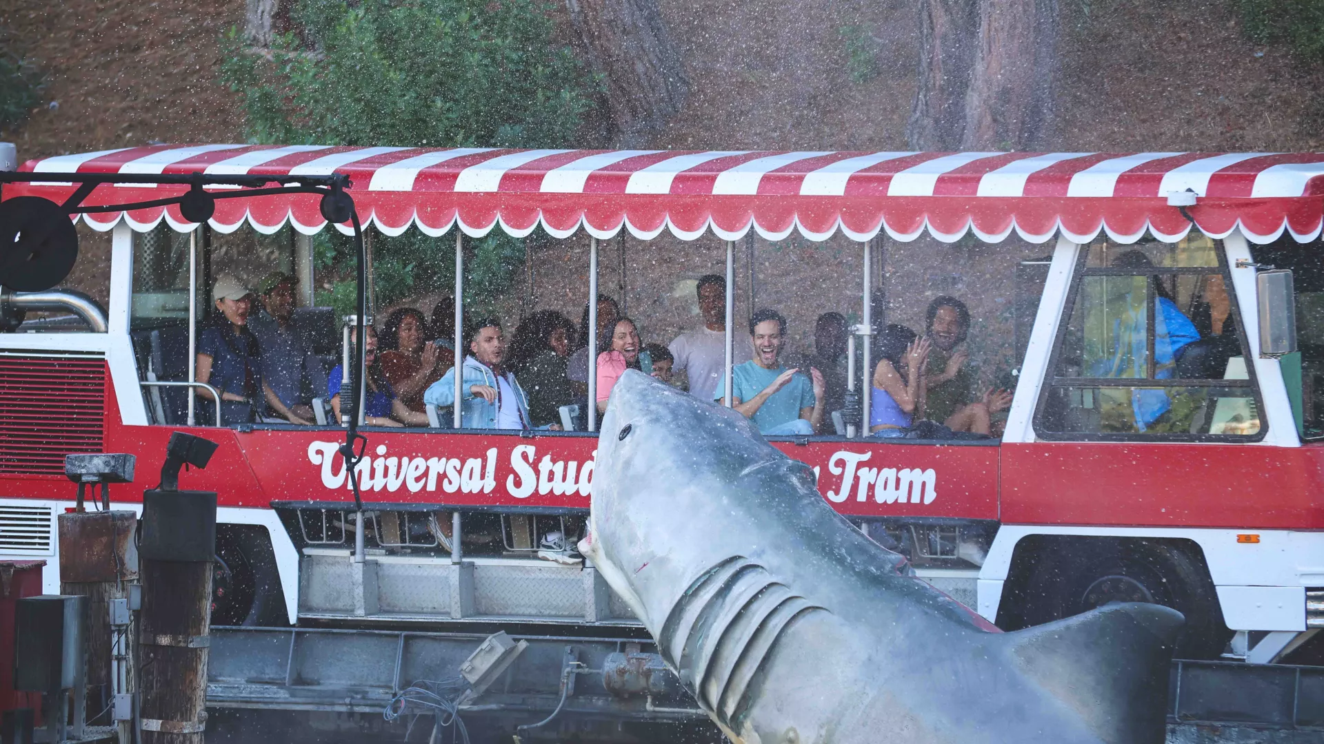 Glamour_Tram_Jaws