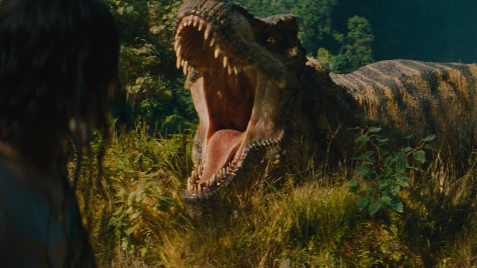 Dinasour