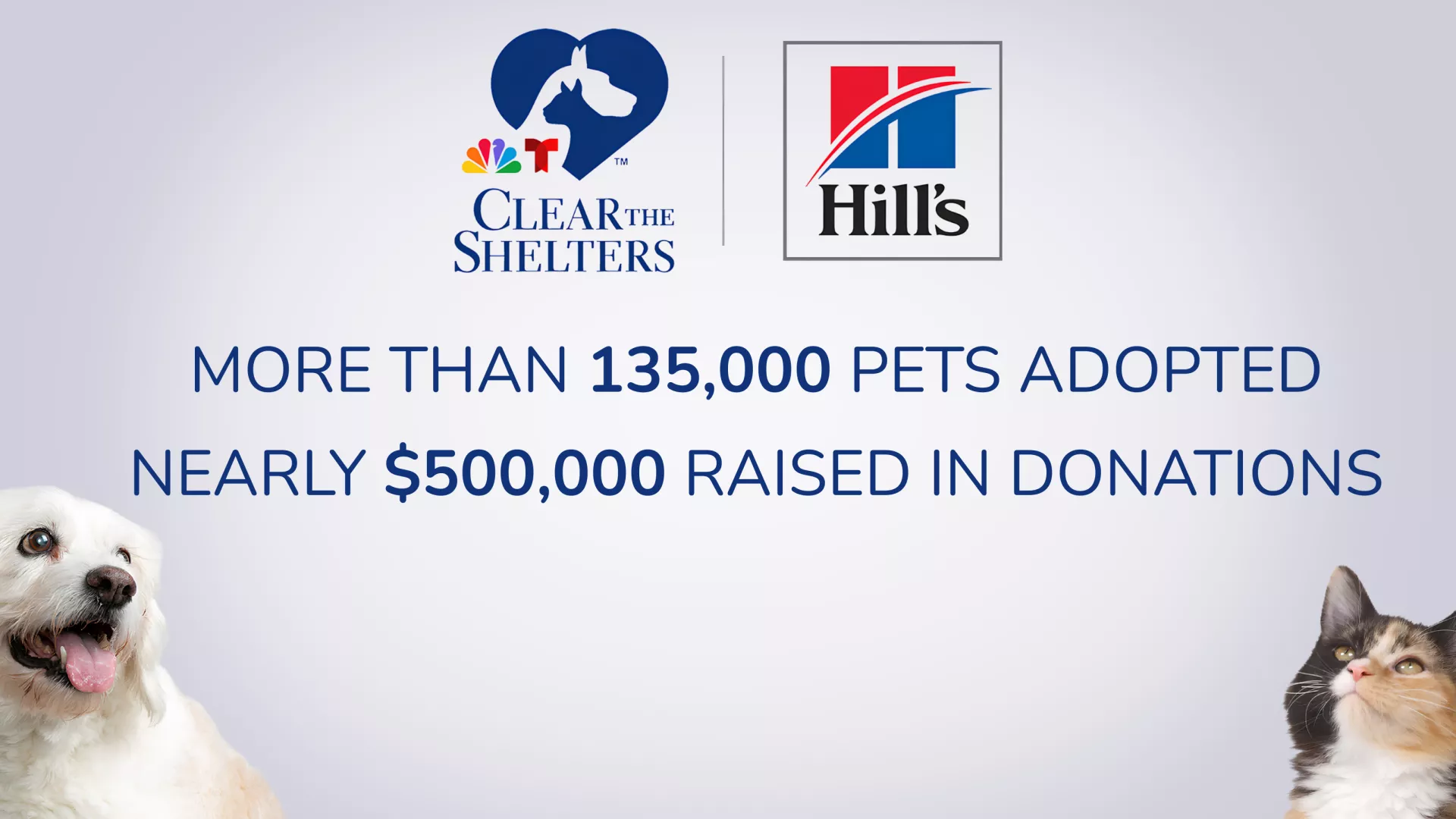 Clear the Shelters